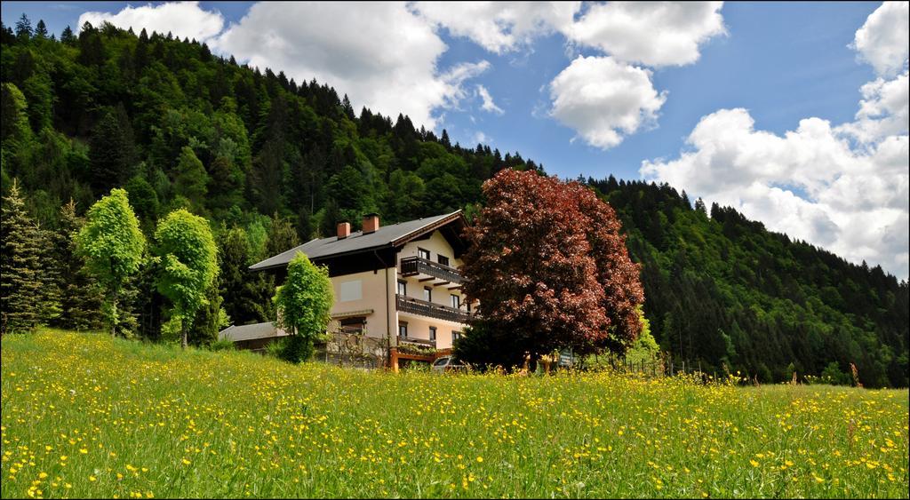 Enzianbrenner Hotel Jenig Bagian luar foto
